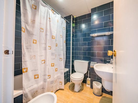 Aparthotel Borodin