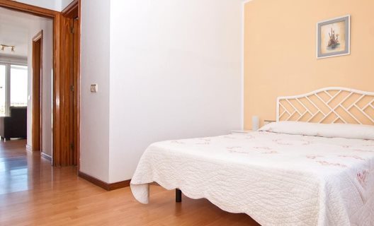 Aparthotel Camel Spring