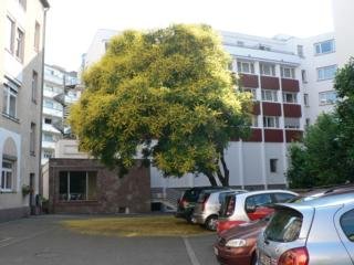 Aparthotel Cap Europe