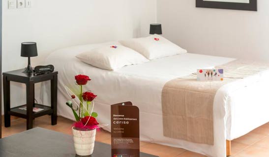 Aparthotel Cerise Carcassonne Sud