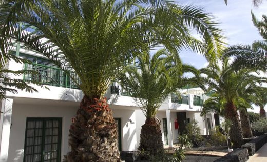 Aparthotel Club Del Carmen