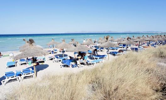 Aparthotel Grupotel Alcudia Suite