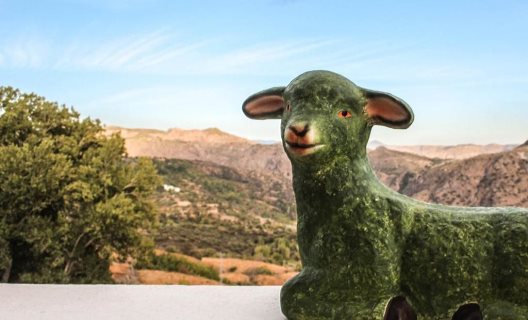 Aparthotel La Oveja Verde