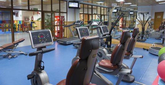 Aparthotel Las Suites En Beverly Hills Tenerife