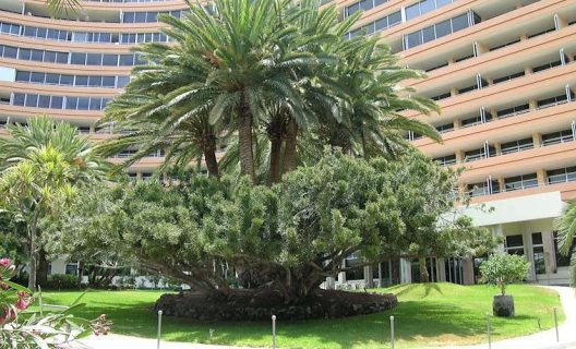 Aparthotel Maeva Clubhotel Marazul Del Sur