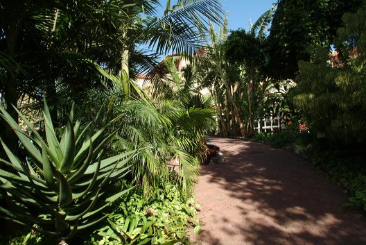 Aparthotel Pestana Village Garden Resort