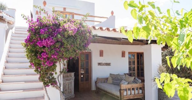 Aparthotel Petunia