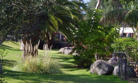 Aparthotel Playa Los Roques