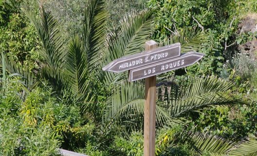 Aparthotel Playa Los Roques