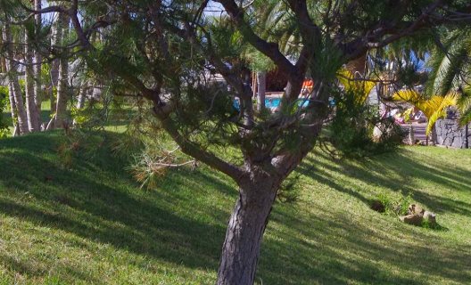 Aparthotel Playa Los Roques