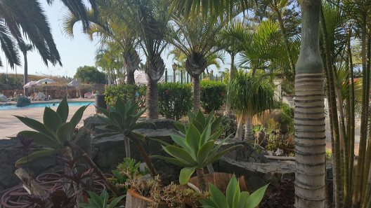 Aparthotel Playa Los Roques