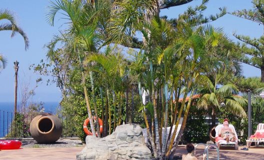 Aparthotel Playa Los Roques