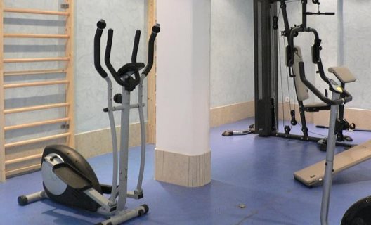 Aparthotel Plaza Son Rigo