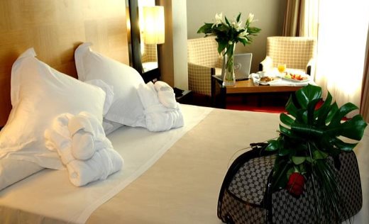 Aparthotel Princesa De Éboli