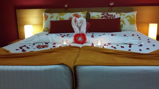 Aparthotel Quinta Pedra Dos Bicos