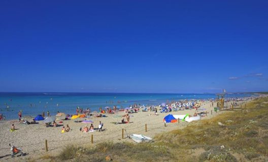 Aparthotel Royal Son Bou Family Club