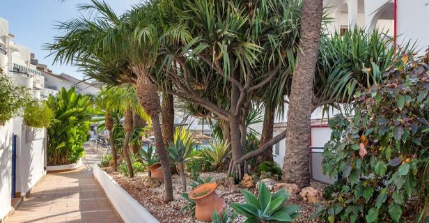 Aparthotel Sahara Sunset Club By Diamond Resorts