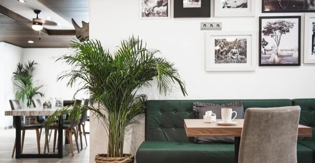 Aparthotel Vibra Mogambo
