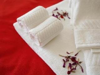 Aparthotel Vicentina