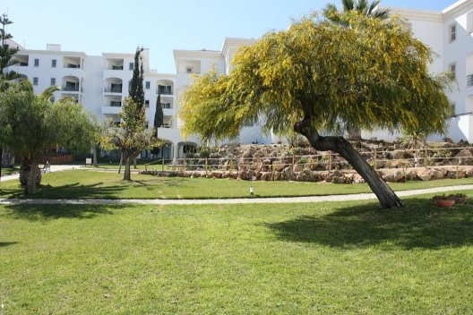 Aparthotel Vila Petra