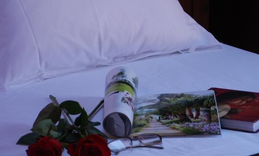 Aparthotel Villa De Plan