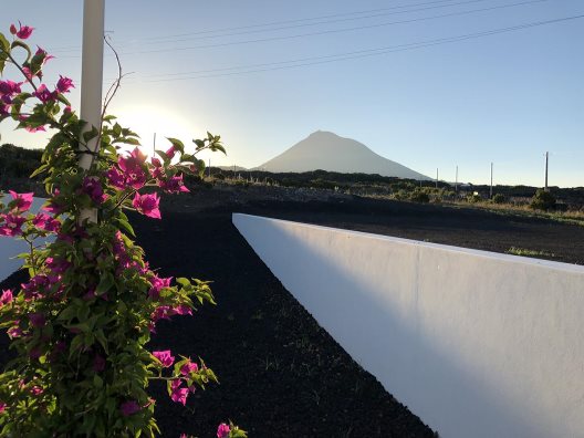 Aparthotel Vinhas Do Calhau