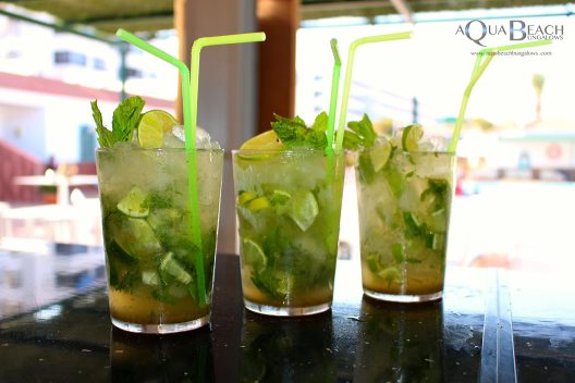 Aqua Beach Bungalows Playa Del Inglés Gay Men Only