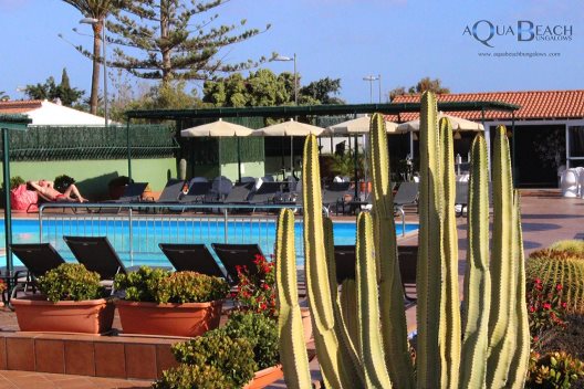 Aqua Beach Bungalows Playa Del Inglés Gay Men Only