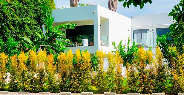 Bluesea Dimona Suites