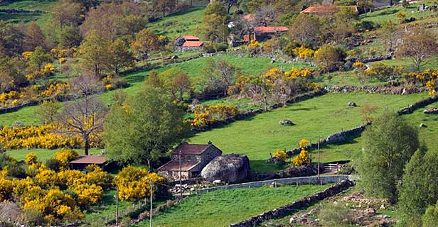 Branda Da Aveleira