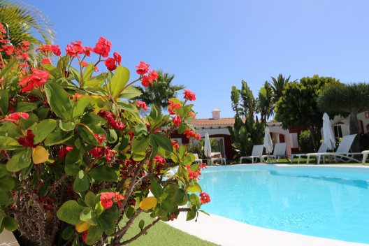 Bungalows Beachboys Resort Gay Men Exclusive