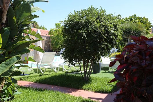 Bungalows Beachboys Resort Gay Men Exclusive