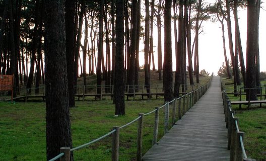 Bungalows Camping Orbitur Caminha
