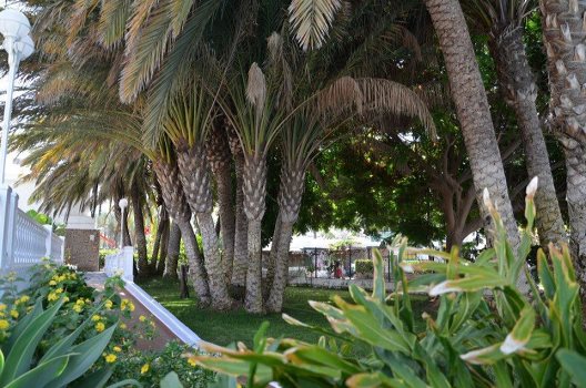 Bungalows Caribe