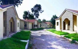 Bungalows Diamant Vert