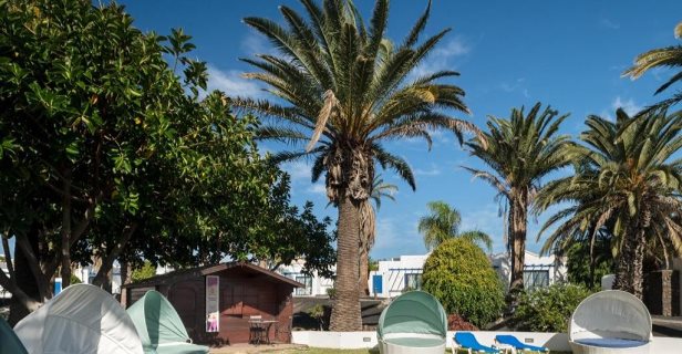 Bungalows Sandos Atlantic Gardens