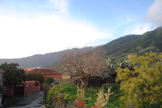 Bungalows Sombrero De Pico