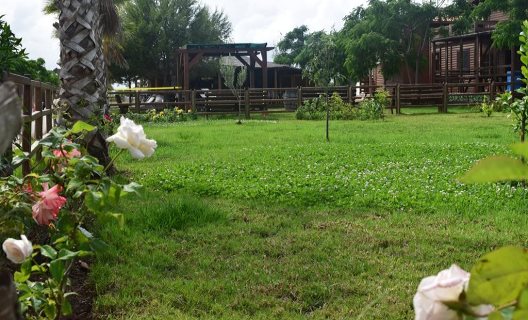 Camping Bungalows Park Albufera