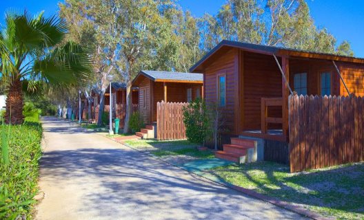 Camping Devesa Gardens