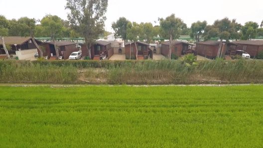 Camping Devesa Gardens