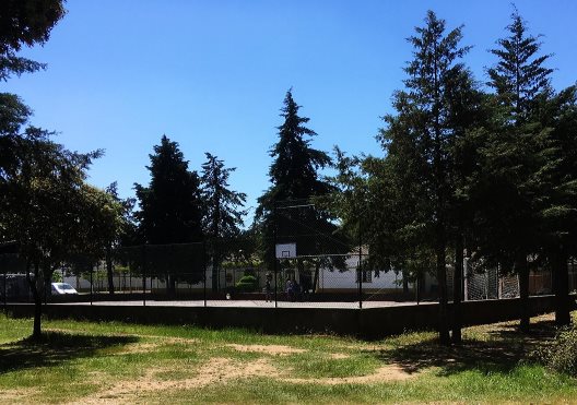 Camping Parque De Orbitur Montargil