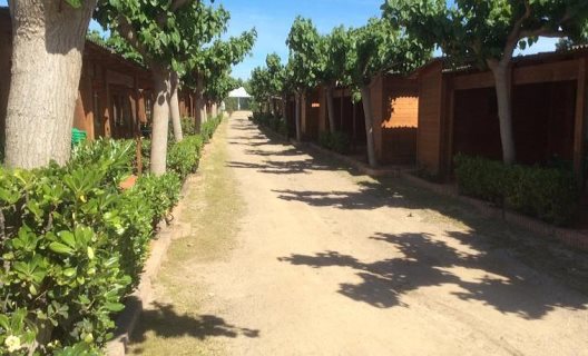 Camping Playa Y Fiesta