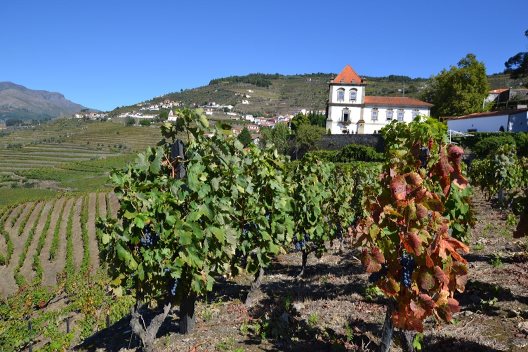 Casa Das Torres De Oliveira