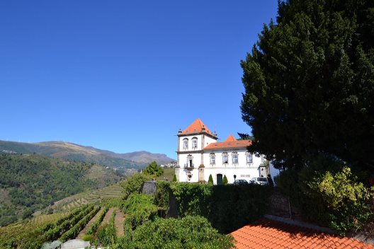 Casa Das Torres De Oliveira
