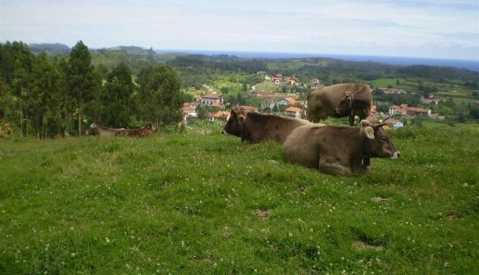 Casa De Aldea Ruiloba