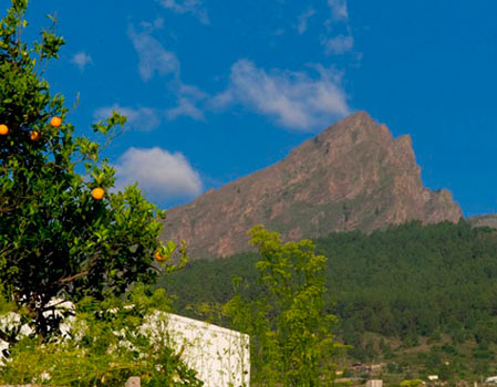 Casa Del Cura Viejo