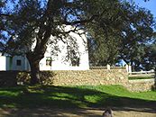 Casa Finca Montefrio