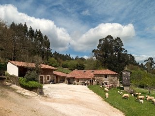 Casa Rural A Casa Da Torre Branca