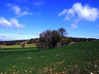Casa Rural Los Pastores