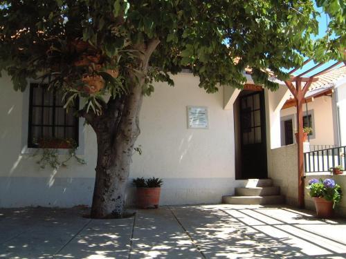 Casas Rural Quinta Mae Dos Homens